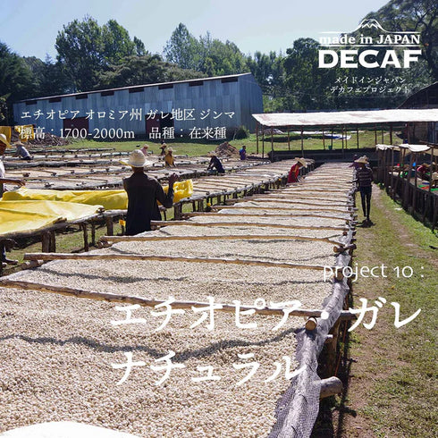 366天定期咖啡配送 咖啡套裝環遊世界(Innocent Coffee Decaf)